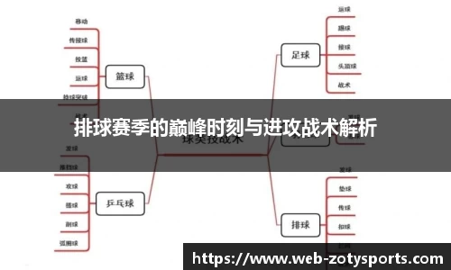 中欧体育官网